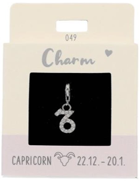Charm Nr.49 Capricorne argent