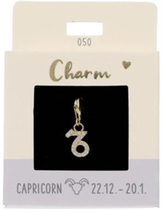 Charm Nr.50 Capricorne or