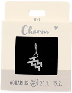 Charm Nr.51 Verseau argent