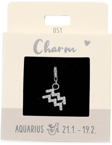 Charm Nr.51 Verseau argent