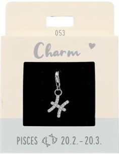 Charm Nr.53 Poissons argent