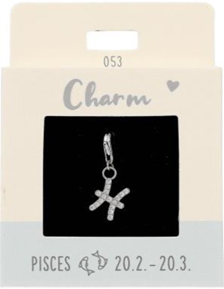 Charm Nr.53 Poissons argent