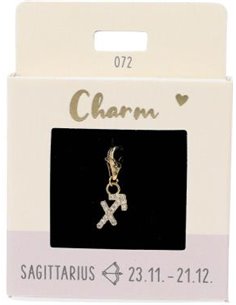 Charm Nr.72 Sagittaire or