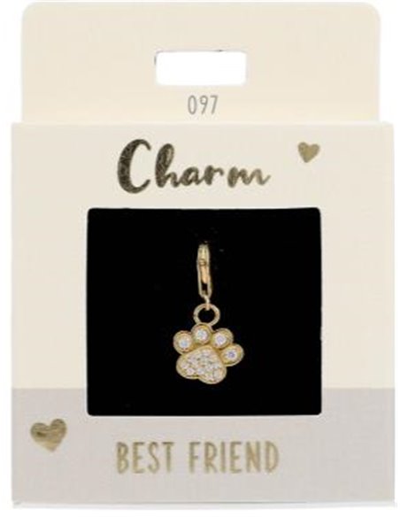Charm Nr.97 Patte or