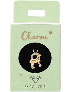 Charms Nr.21 -  Capricorne
