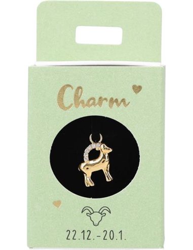 Charms Nr.21 -  Capricorne