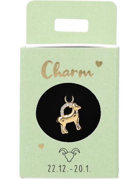 Charms Nr.21 -  Capricorne