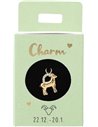 Charms Nr.21 -  Capricorne
