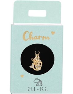 Charms Nr.22 - Verseau