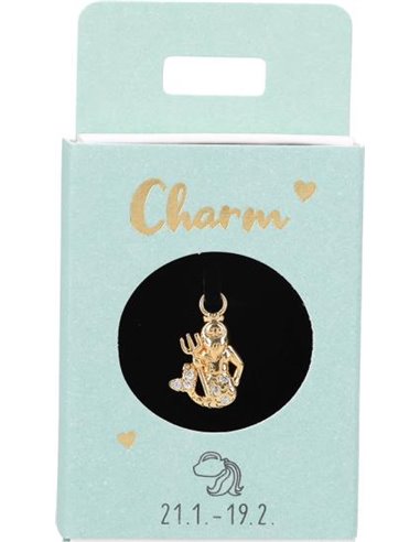 Charms Nr.22 - Verseau