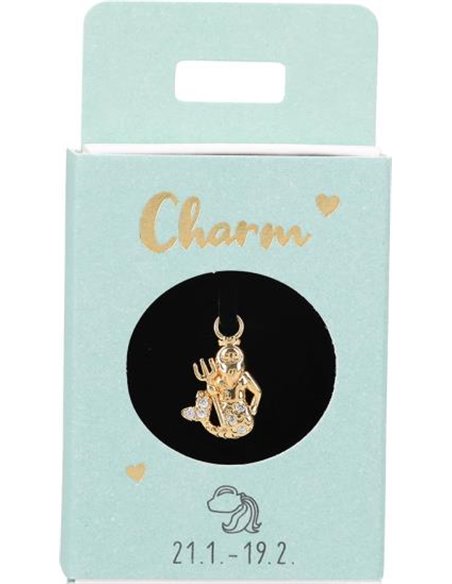 Charms Nr.22 - Verseau