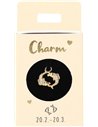 Charms Nr.23 - Poissons