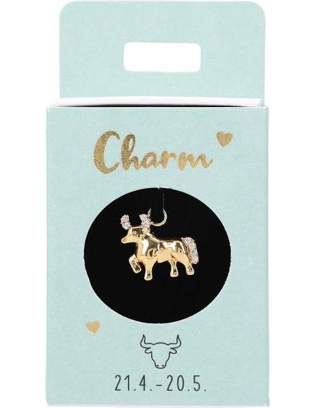 Charms Nr.25 - Taureau