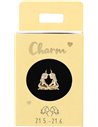 Charms Nr.26 - Gémeaux