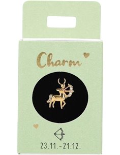 Charms Nr.32 - Sagittaire