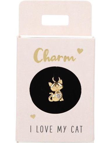 Charms Nr.50 - Chat