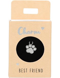 Charms Nr.51 - Patte