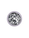 Grandes Paillettes Argentées