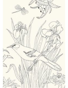 Art book -  les oiseaux 2