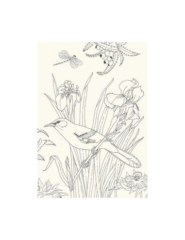 Art book -  les oiseaux