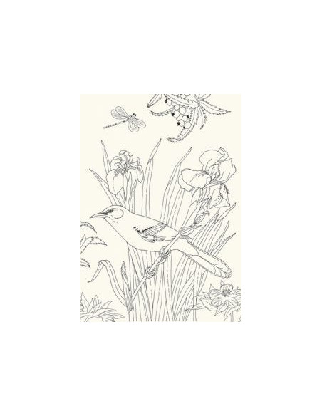 Art book -  les oiseaux