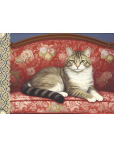 Cahier illustre - chats