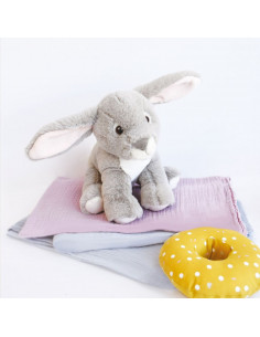Bebe Lapin Gris 2