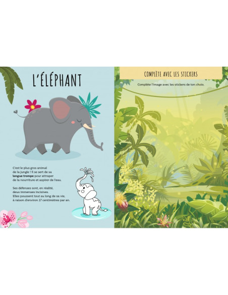La jungle - Stickers et activités - Sassi