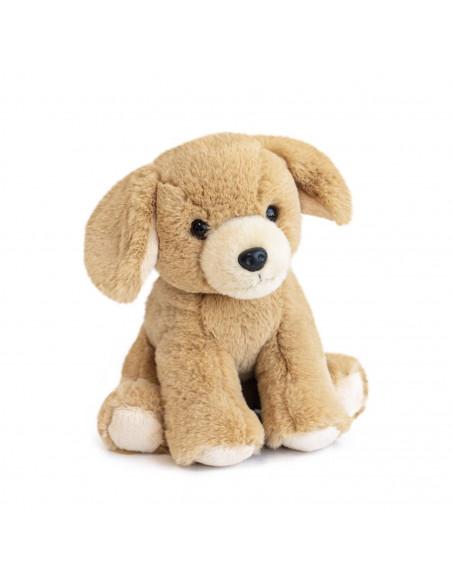 Bebe Chien Miel
