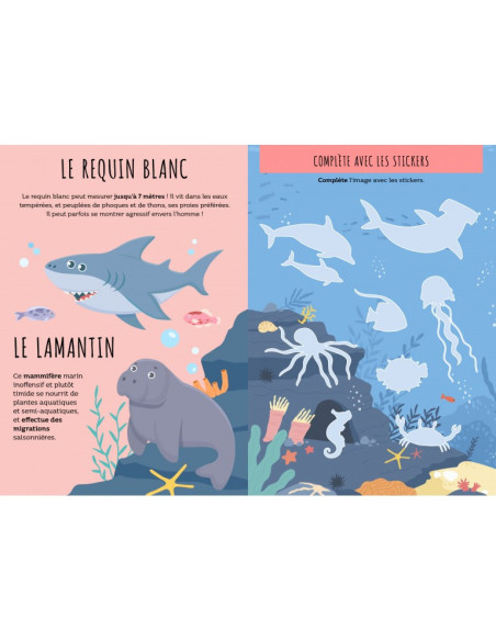 La mer - Stickers et activités - Sassi