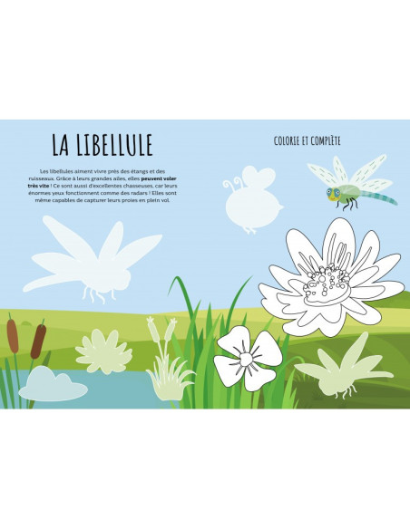 Le jardin - Stickers et activités - Sassi