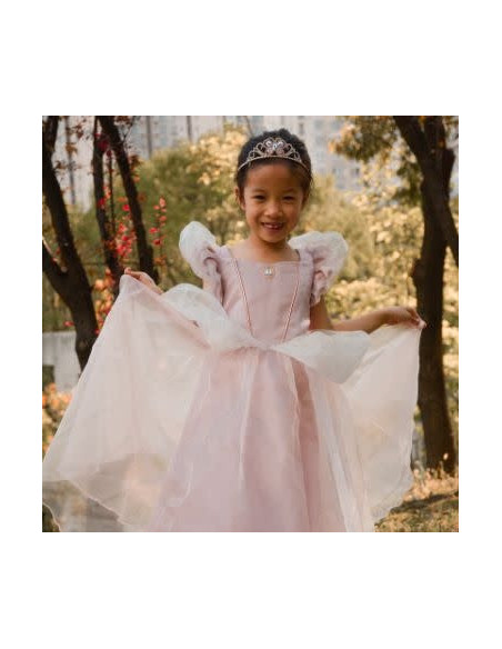 Robe de princesse antique rose pâle - Great Pretenders