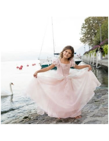 Robe de princesse antique rose pâle - Great Pretenders