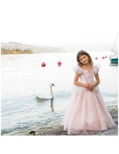 Robe de princesse antique rose pâle - Great Pretenders