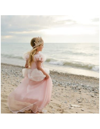 Robe de princesse antique rose pâle - Great Pretenders