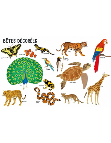 Belles betes