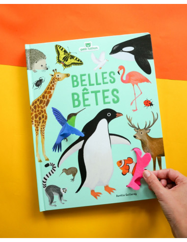Belles betes