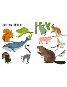 Belles betes 2