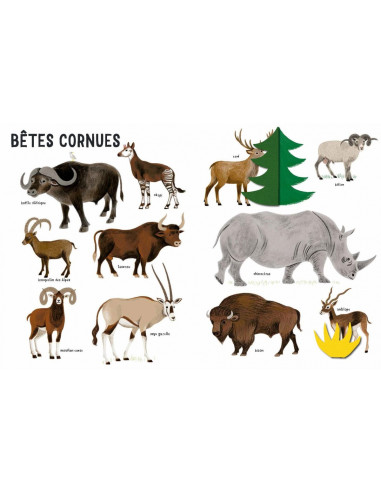 Belles betes