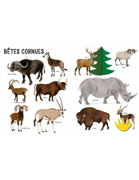 Belles betes