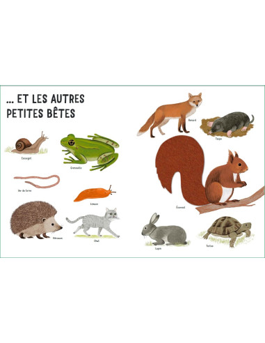 Dans mon jardin