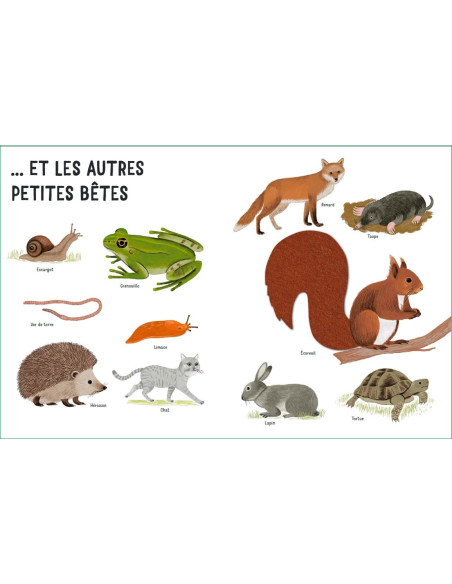 Dans mon jardin