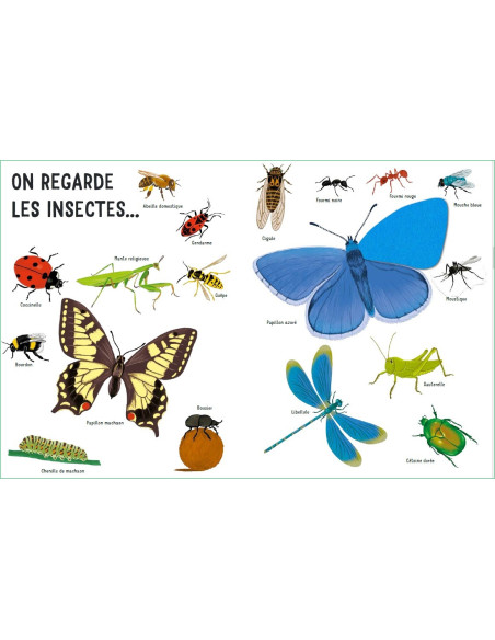 Dans mon jardin