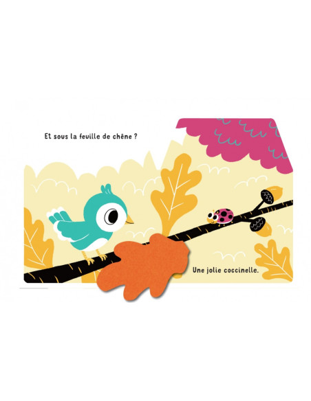 CACHE-CACHE PETIT OISEAU	