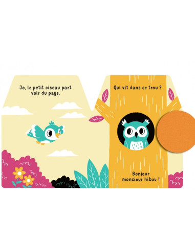 CACHE-CACHE PETIT OISEAU	