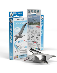 Eugy 3D Albatros Royal - Puzzle oiseau marin écologique 2