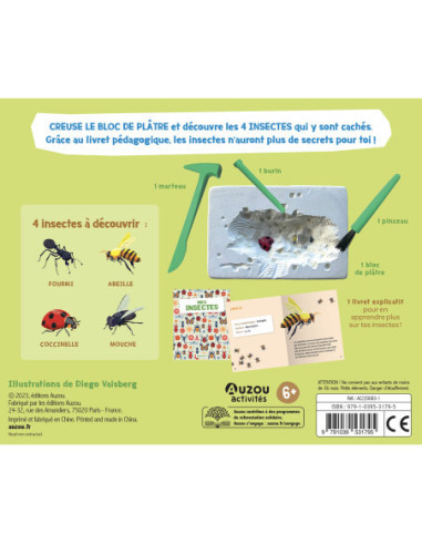 Mes insectes à déterrer