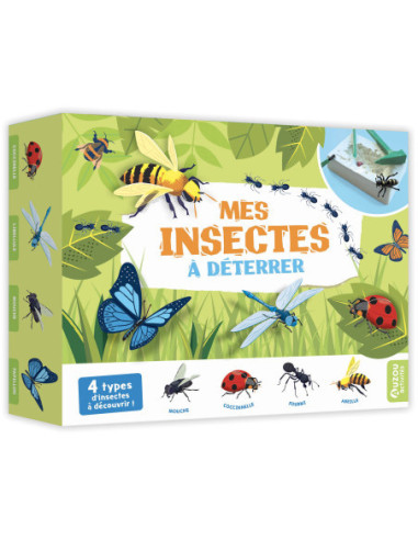 Mes insectes à déterrer