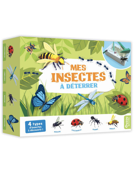 Mes insectes à déterrer