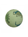 Petit ballon les dinosaures